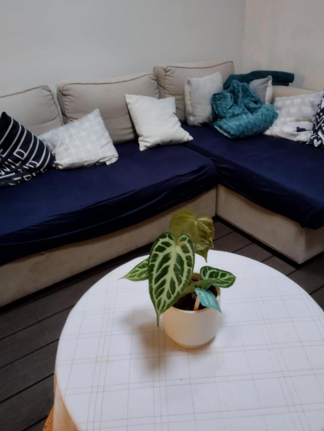 Ideal Vieille Ville De Boulogne La Boulonnaise ! Екстер'єр фото